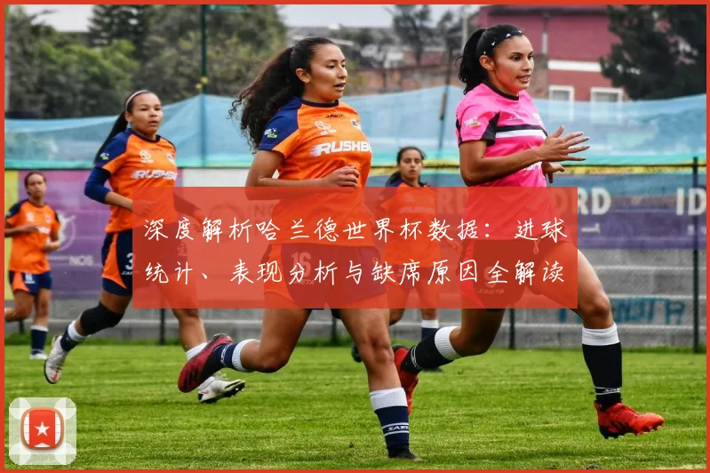 深度解析哈兰德世界杯数据：进球统计、表现分析与缺席原因全解读